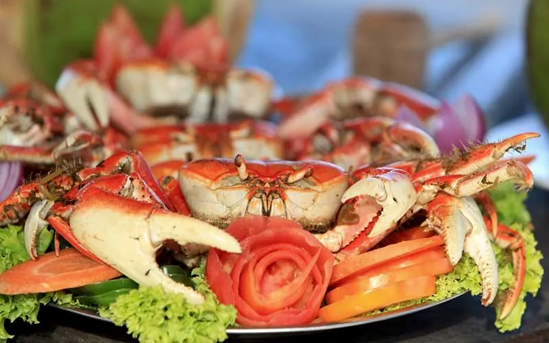 Prato de caranguejos cozidos com salada