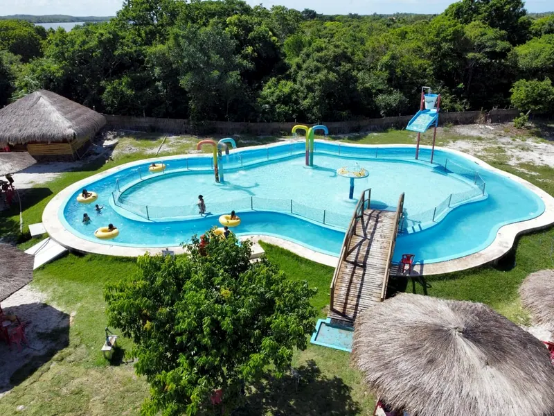 Vista do alto de uma piscina azul de formato curvo, com ponte de madeira e escorregador, cercada de grama e árvores