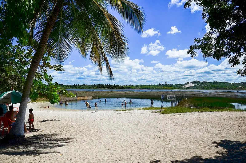 Faixa de areia branca na beira da lagoa, com coqueiro e banhistas na água